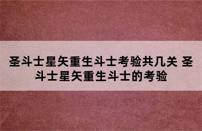 圣斗士星矢重生斗士考验共几关 圣斗士星矢重生斗士的考验